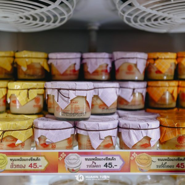 595526584_1203930035255816_826357735910380213_n